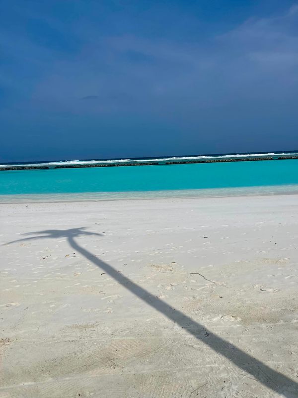 Joy Island фото 62