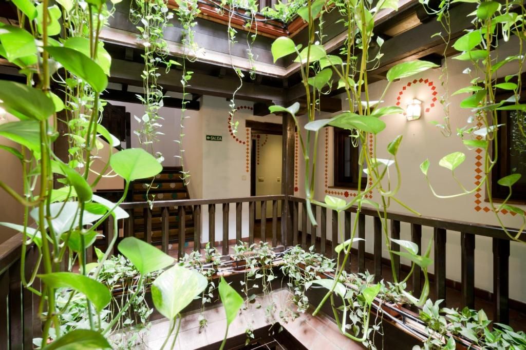 Oasis Backpackers Hostel Granada фото 23
