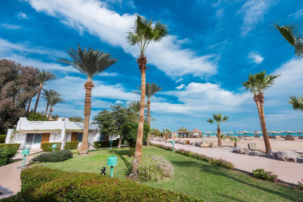 Shams Safaga Resort фото 72