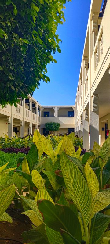 Reef Oasis Beach Resort фото 129
