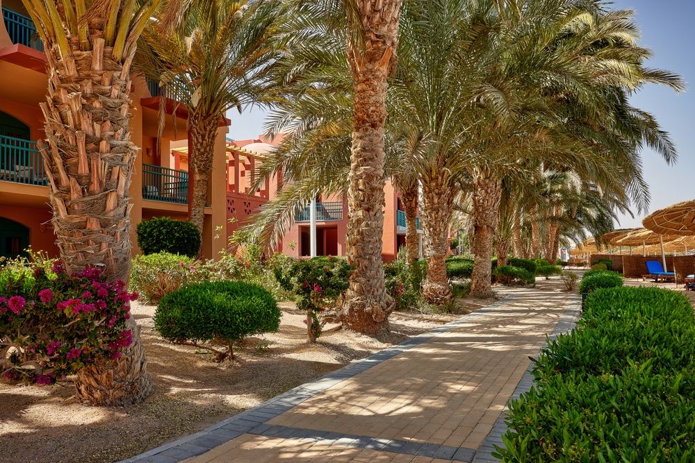 Sheraton Miramar Resort El Gouna фото 119