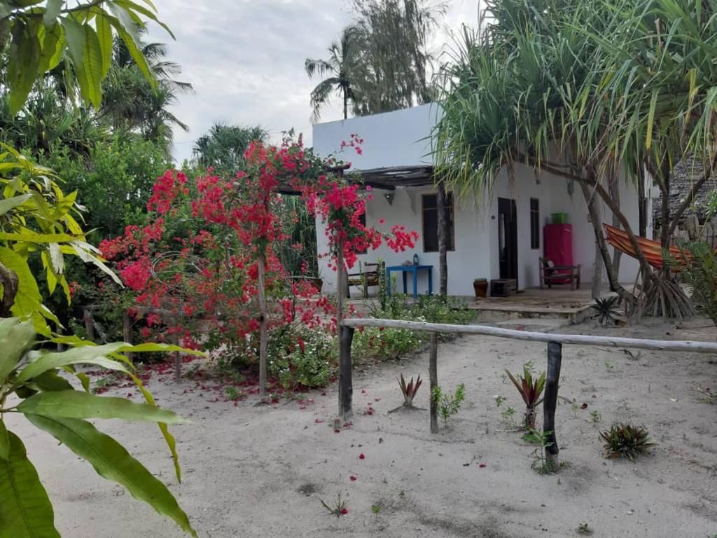 Barefoot Zanzibar фото 22