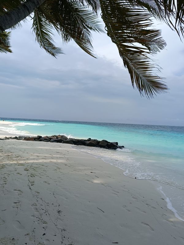 Fihalhohi Maldives фото 64