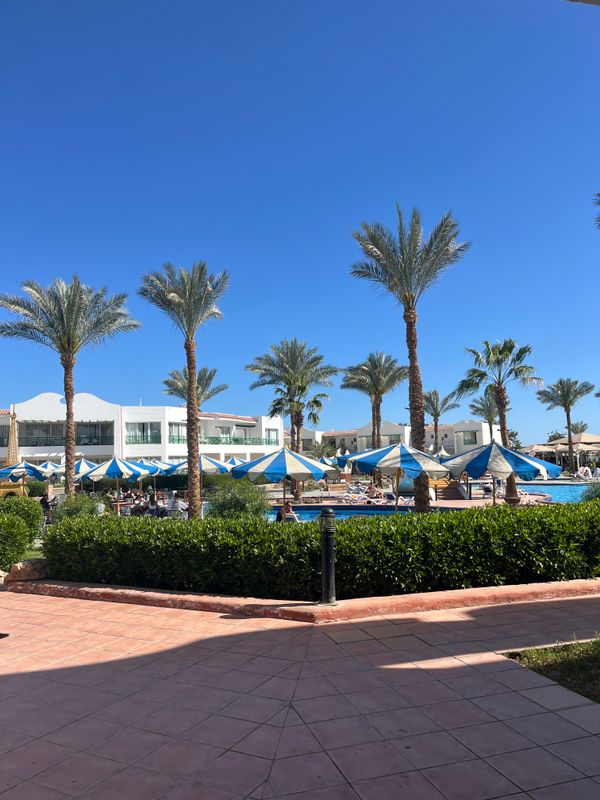 Panorama Naama Heights Resort фото 43