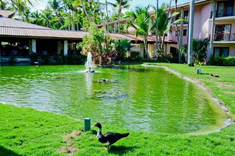Natura Park Beach & Spa Eco Resort - All Inclusive фото 2
