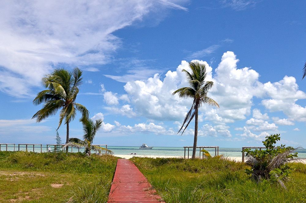 Gran Caribe Club Cayo Guillermo фото 79