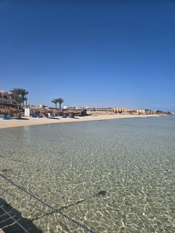 Protels Crystal Beach Resort фото 73