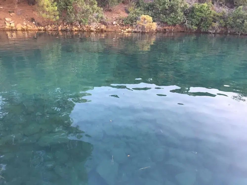 Göcek Selya Hotel фото 22