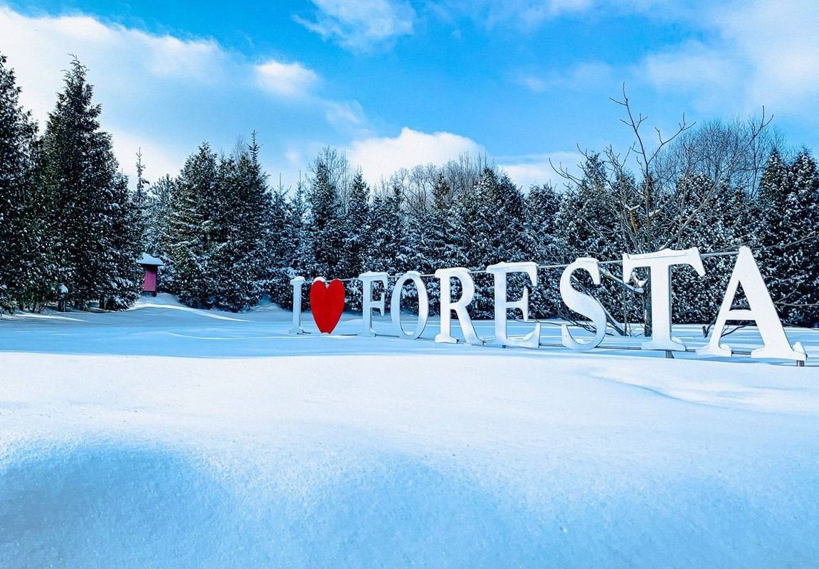 Гостиница «Foresta Festival Park» фото 162