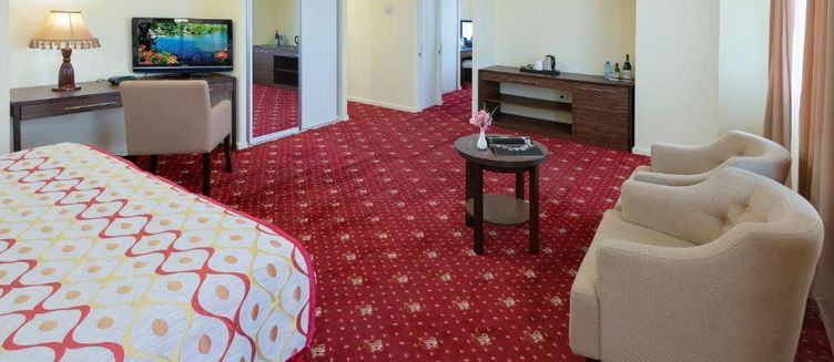 Фото отеля Ani Plaza Hotel