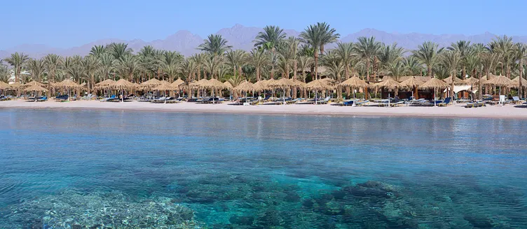 Фото отеля Jaz Sharm Dreams