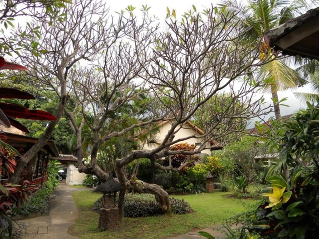 Bali Lovina Beach Cottage фото 13