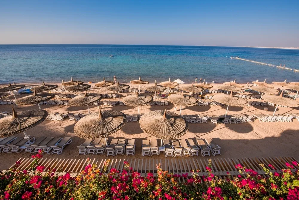Reef Oasis Beach Resort фото 6