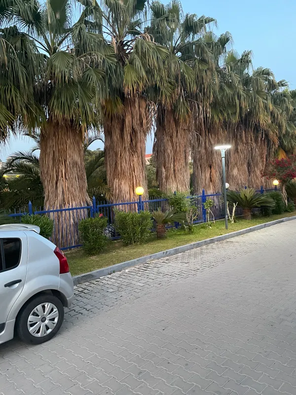 Ozkaymak Select Resort Hotel фото 66
