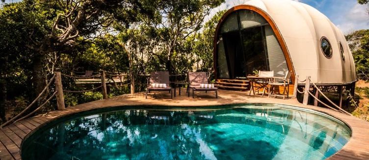 Фото отеля Wild Coast Tented Lodge
