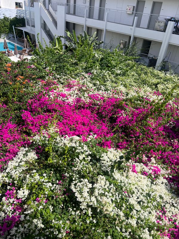 Nissi Park Hotel фото 47