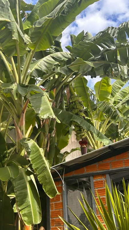 Baan Kata Maytha фото 10