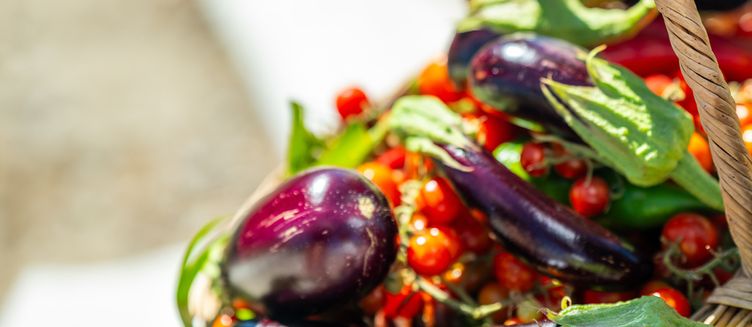 Фото отеля Labranda Lebedos Princess