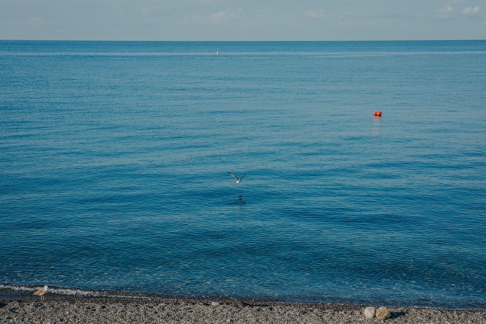 Swissotel Resort Sochi Kamelia фото 65