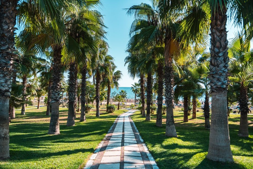 Sural Resort фото 127