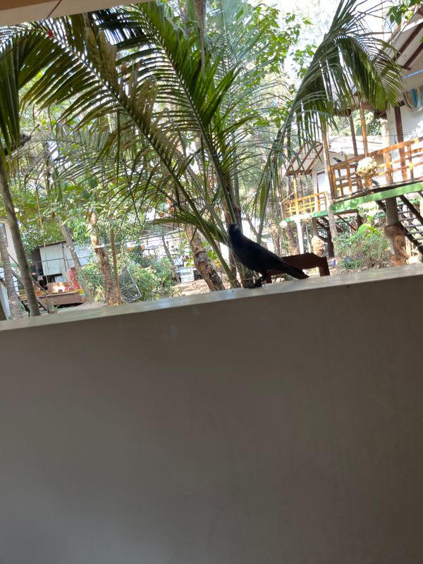 Goan Cafe Beach Resort фото 24