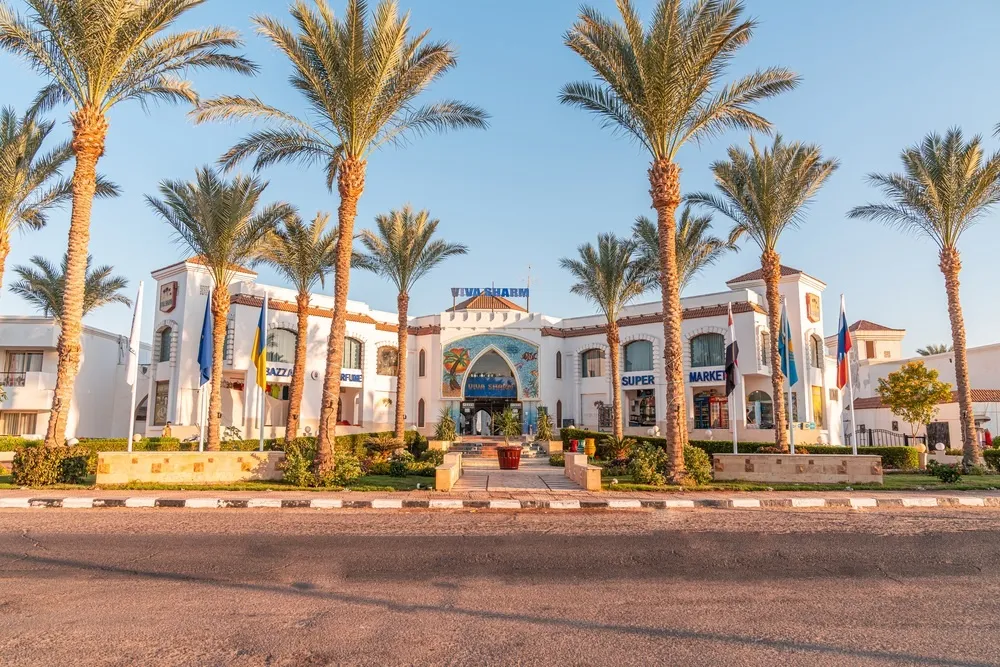 Viva Sharm Hotel фото 0