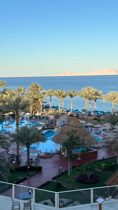 Pickalbatros Royal Grand Resort Sharm El Sheikh (Adults Only) фото 68