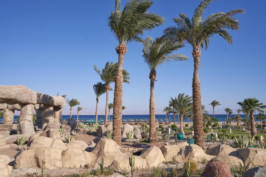 The Bayview Taba Heights Resort фото 64