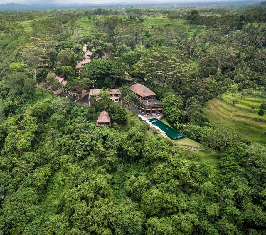 Alila Ubud фото 38