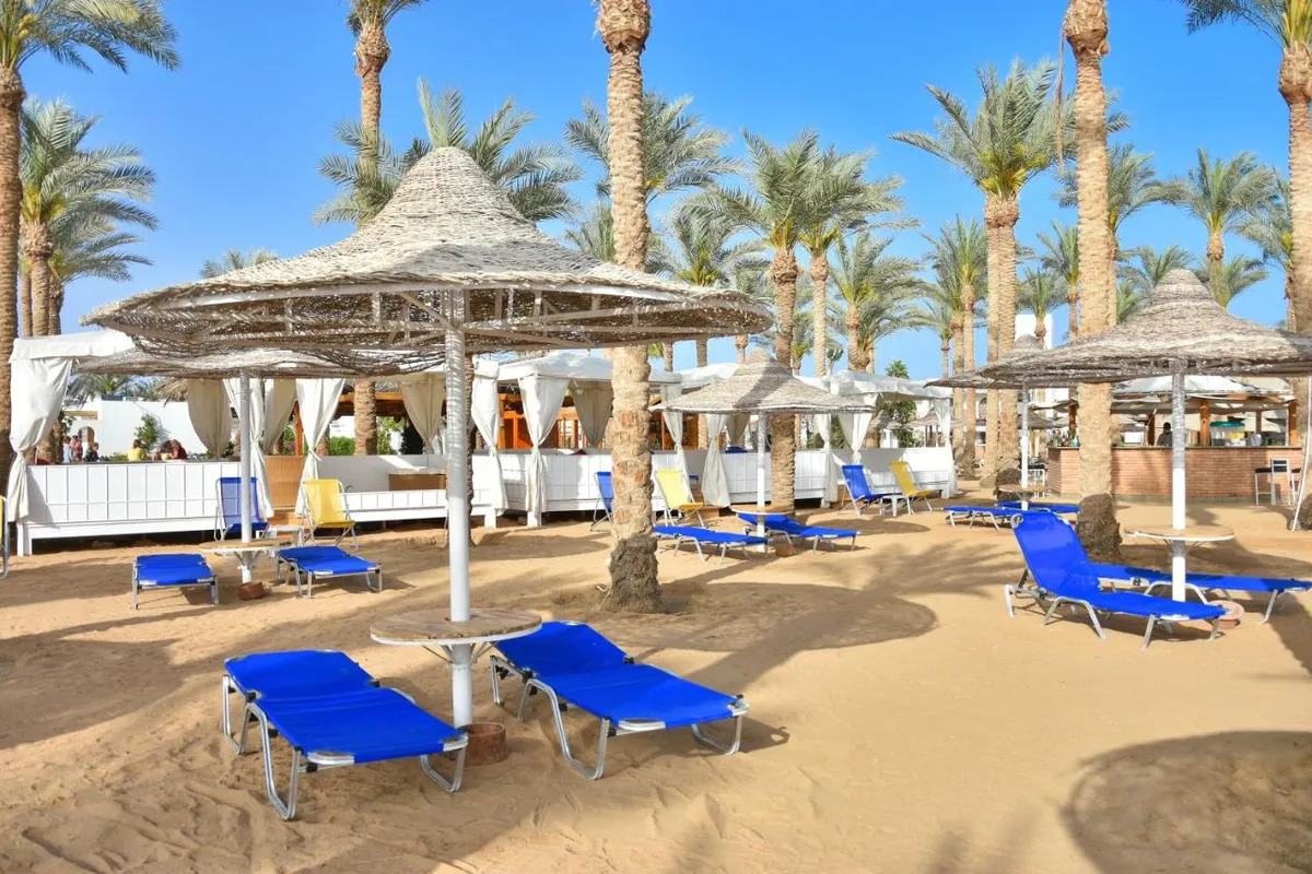 Seti Sharm Palm Beach Resort фото 11