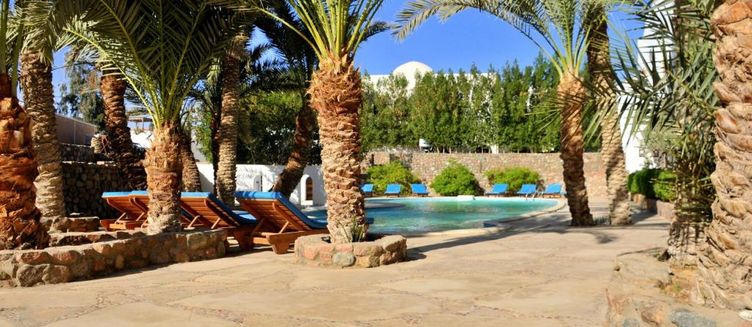 Фото отеля Dahab Divers