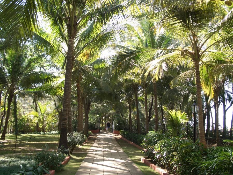 Vila Goesa Beach Resort фото 102