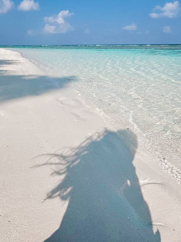 Guest House ««Plumeria Maldives» Guest House» фото 44
