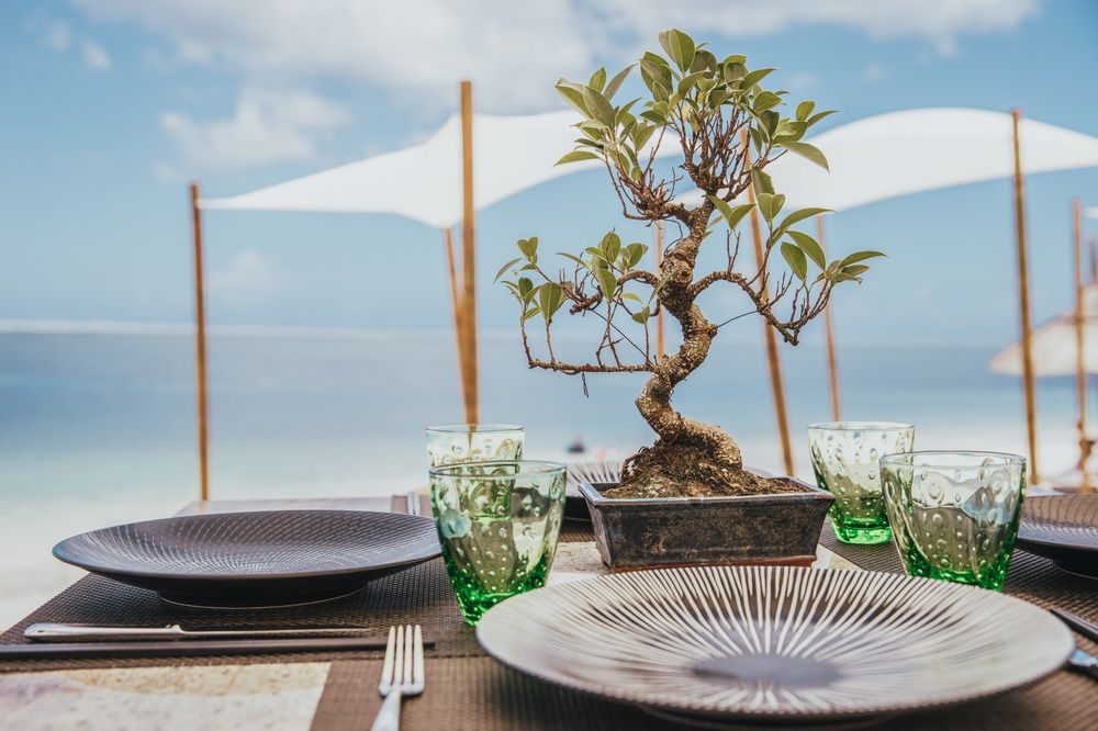 Sugar Beach Mauritius фото 87