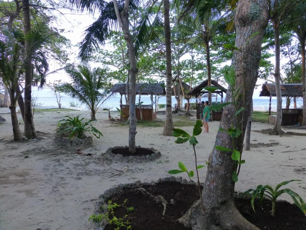 Talima Beach Villas & Dive Resort фото 85