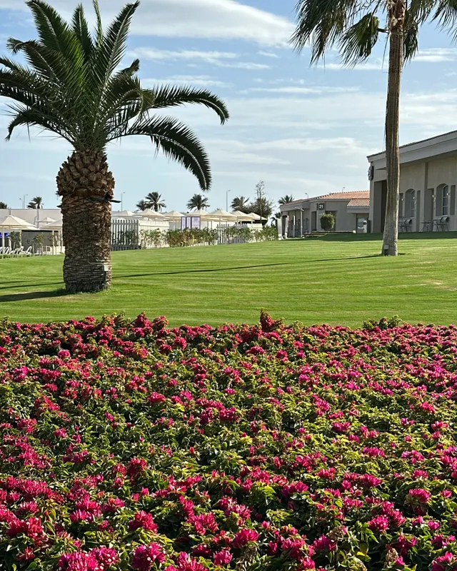 Pickalbatros Luxury Suites фото 79