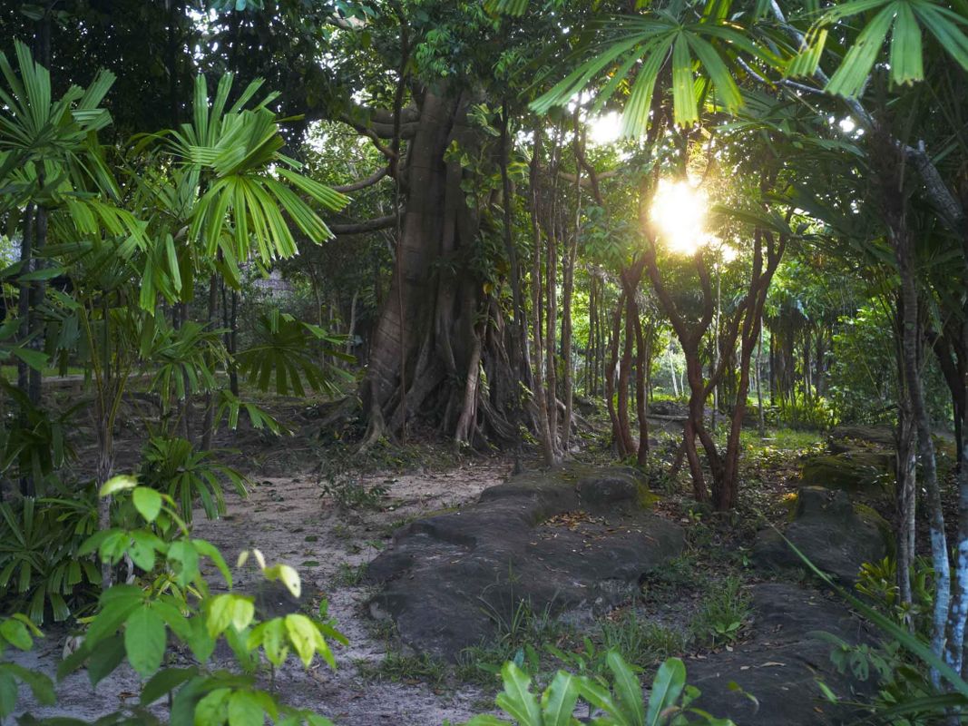 Mango Bay Resort фото 31