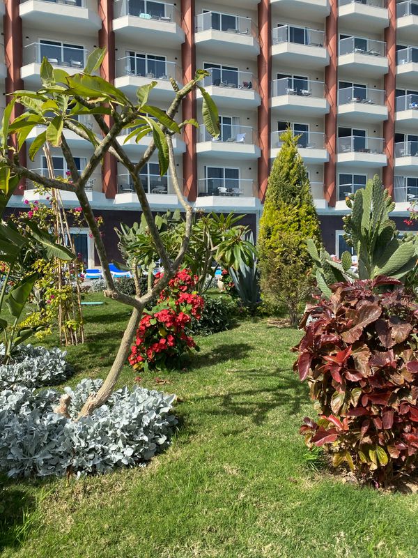 Rewaya Majestic Resort фото 402