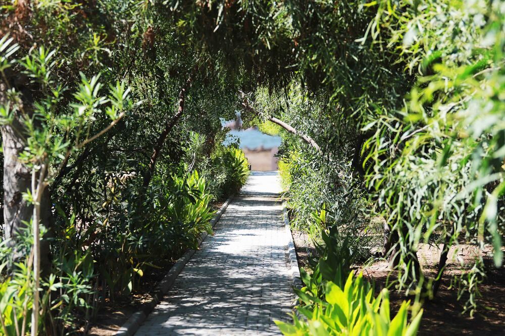 Linda Sunny Beach Hotel & Spa фото 135