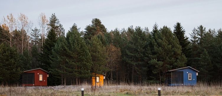 Фото отеля Ягодная Деревня