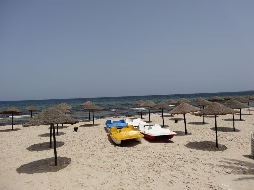 My Hotel Garden Beach фото 3