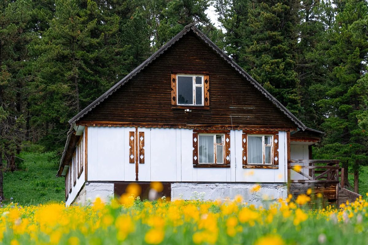 База отдыха «Динамо» фото 19