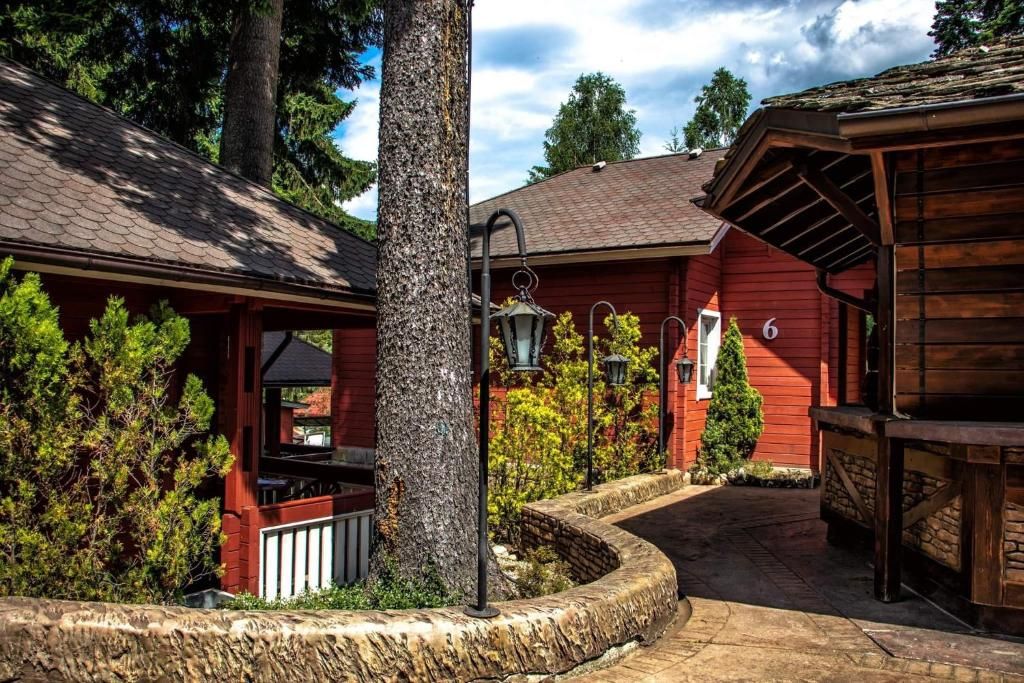 Hotel Alpin фото 20