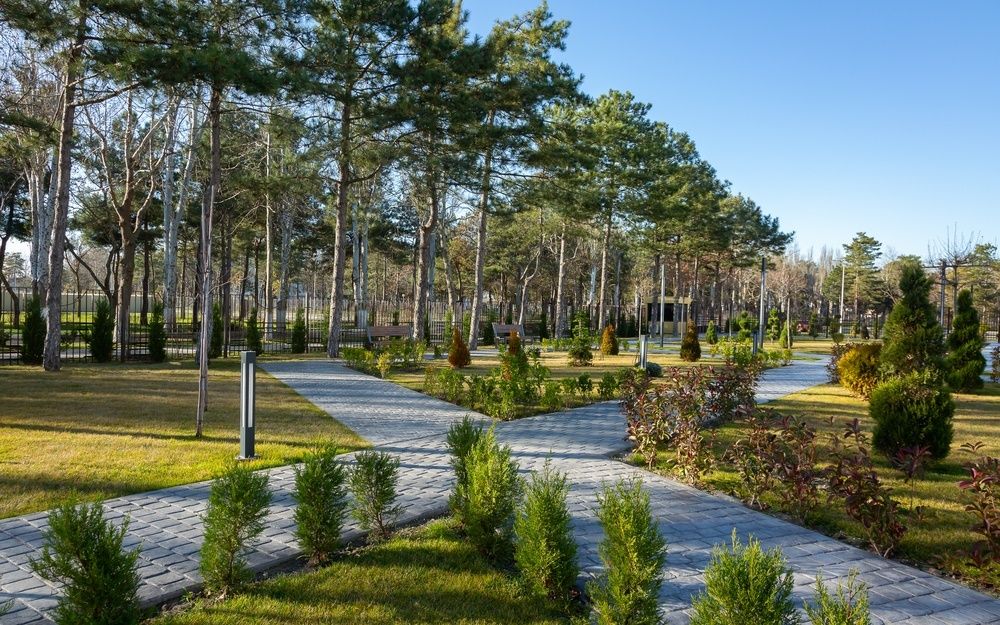 Movenpick Resort & SPA Anapa Miracleon фото 32