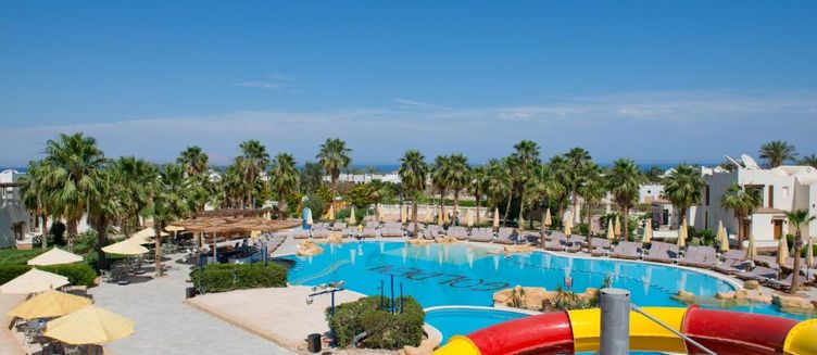 Фото отеля Amphoras Aqua Hotel (Adults Only)