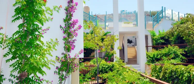 Фото отеля Siesta Beach & Apart