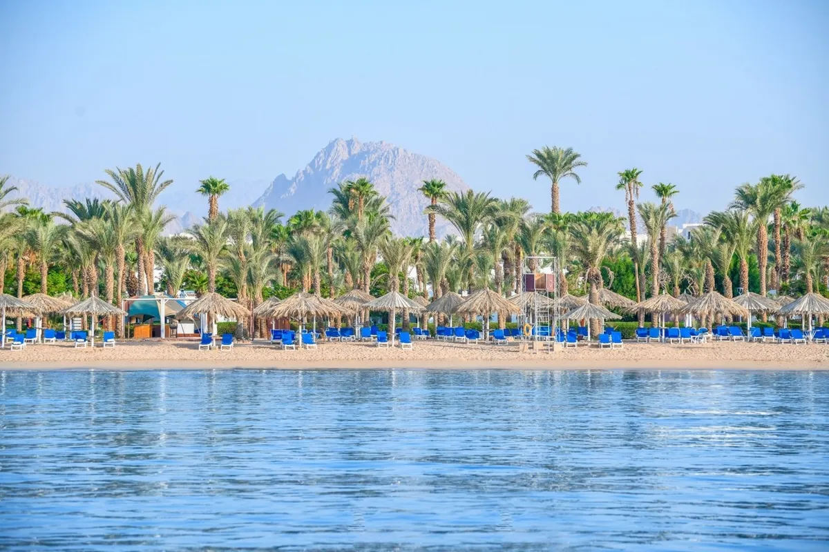 Jaz Sharm Dreams фото 8