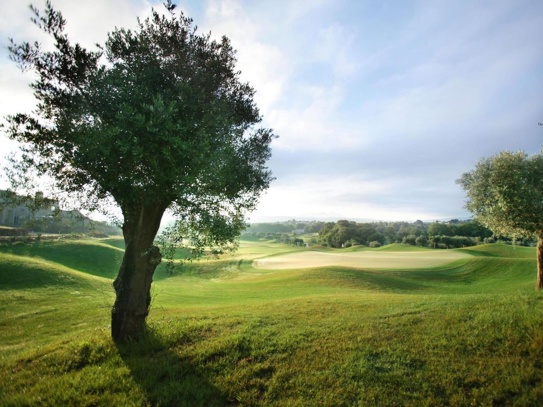 The Westin Resort Costa Navarino фото 4