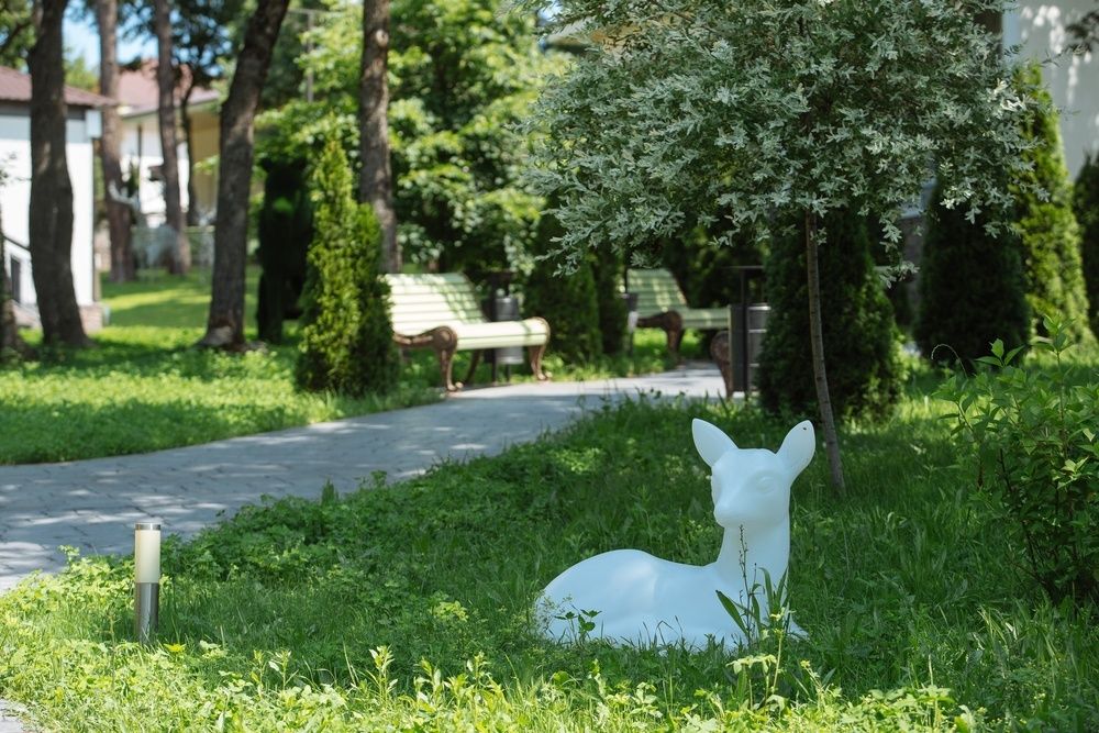 Талка Village фото 90