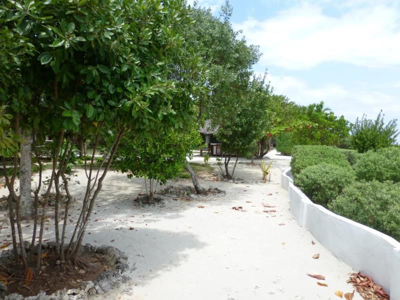 Talima Beach Villas & Dive Resort фото 14